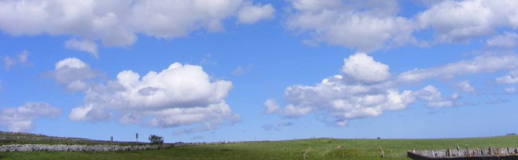 Graves in the landscape